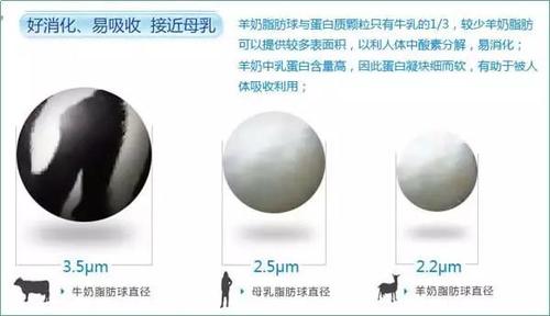 蛋白质分子了对比图 蛋白质分子了对比图