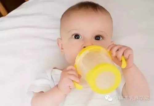 宝宝喝奶粉 宝宝喝奶粉